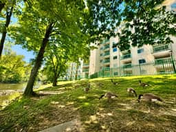 River Place 605 - Image 5